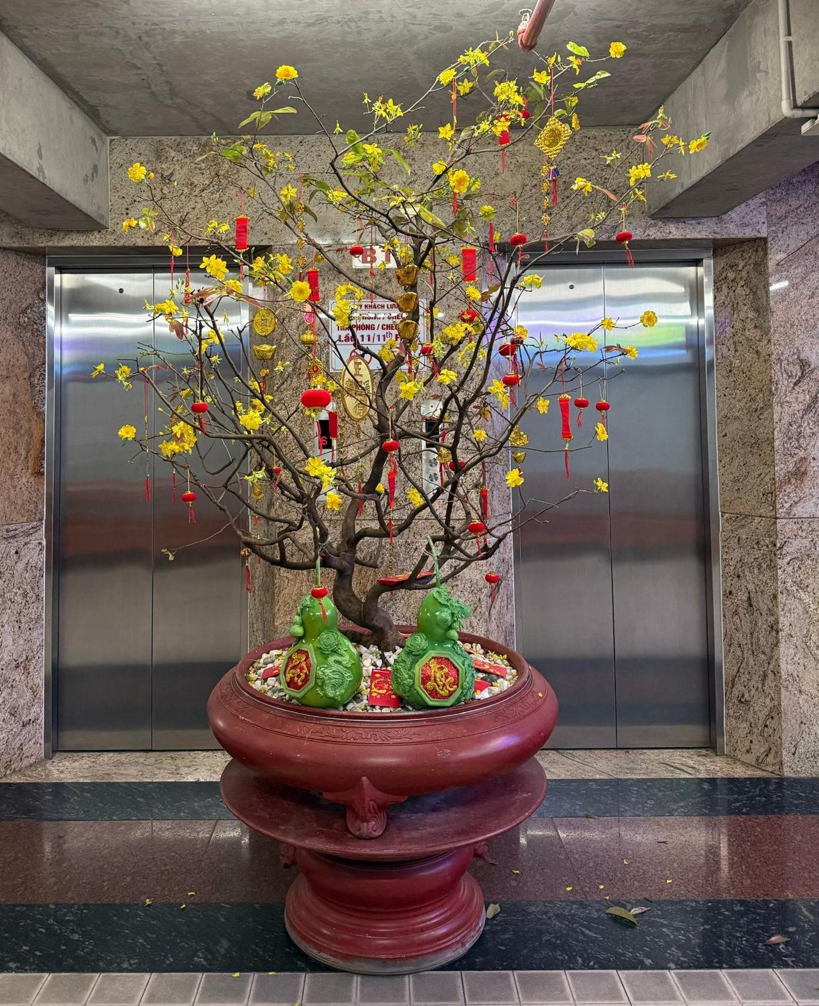 Thien Tai Hotel Ho Chi Minh-staden Exteriör bild